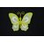OZDOBNÝ KOLÍČEK MOTÝL 9cm*ŽLUTÁ
