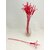 PEDIG KYTKA 40cm 10ks*ČERVENÁ