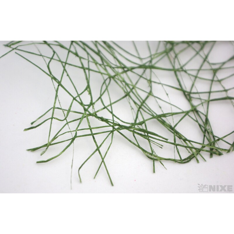 ROLE SISAL 53cmx10yd*ZELENÁ