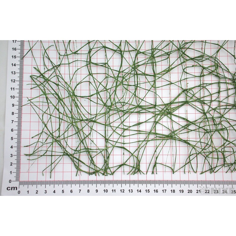 ROLE SISAL 53cmx10yd*ZELENÁ