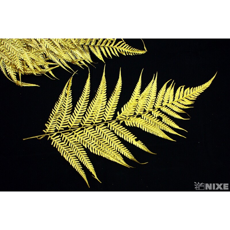 ZÁPICH LIST 12ks 50cm*ZLATÁ