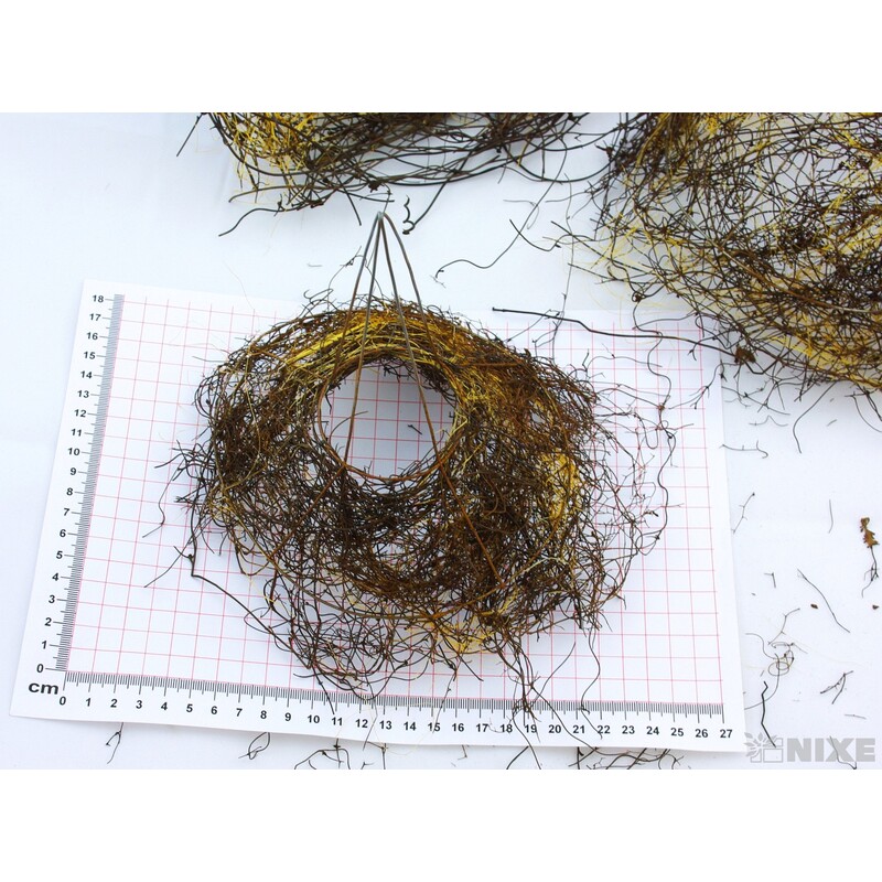 PODLOŽKA HNÍZDO MZT05953A S3*MIX BAREV