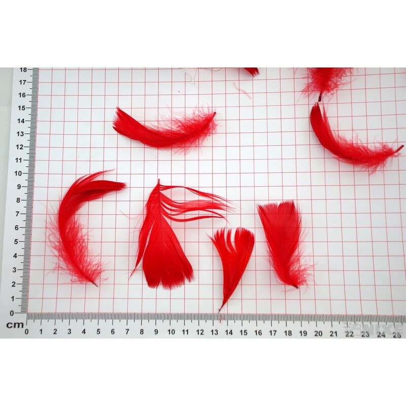 PEŘÍČKA BOX 15gr. cca 250ks*ČERVENÁ C12