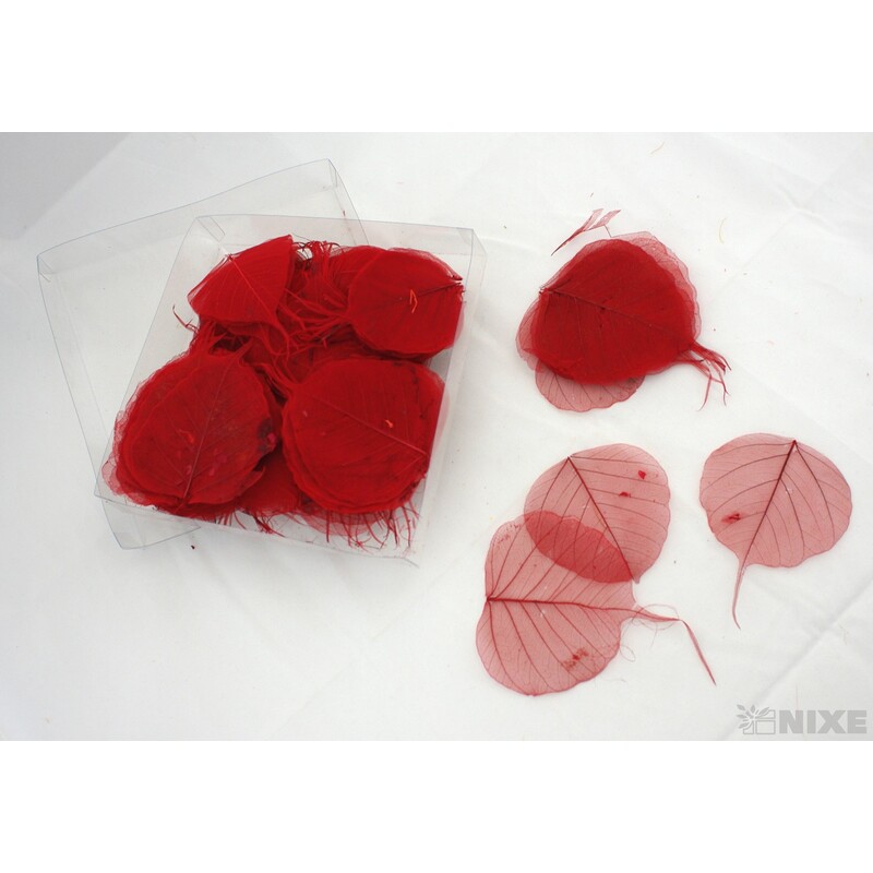 SKELETON LEAVES BAYAN*ČERVENÁ