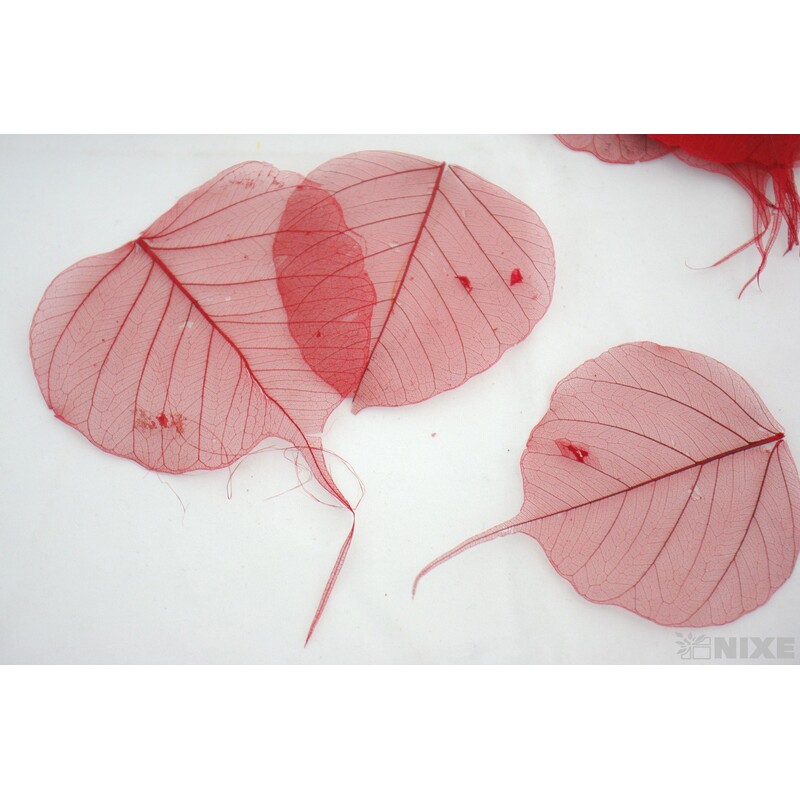 SKELETON LEAVES BAYAN*ČERVENÁ