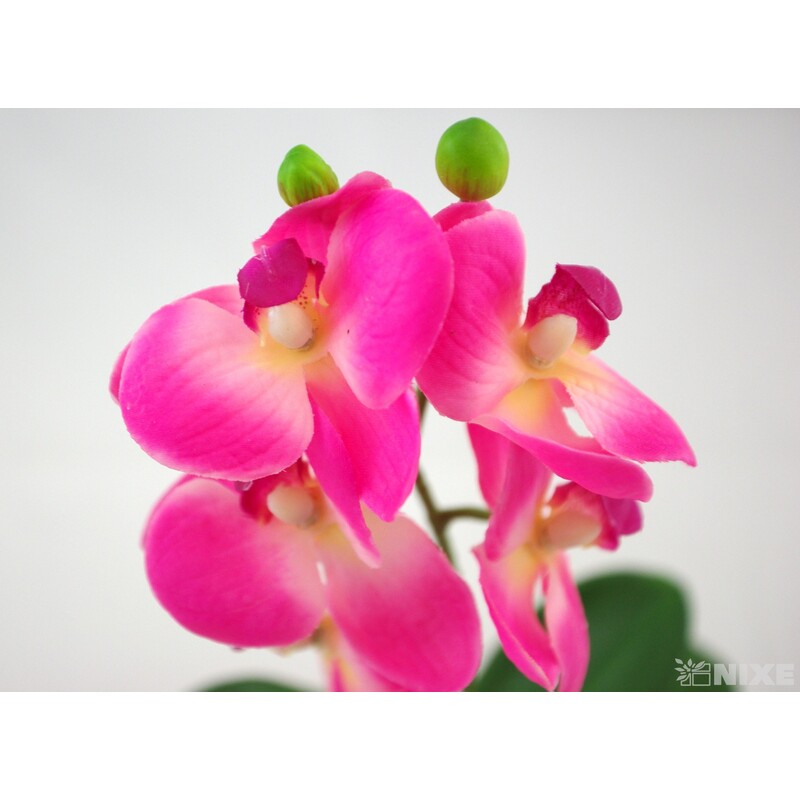 ORCHIDEA 33cm*RŮŽOVÁ