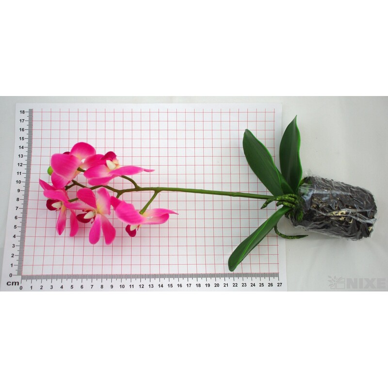 ORCHIDEA 33cm*RŮŽOVÁ
