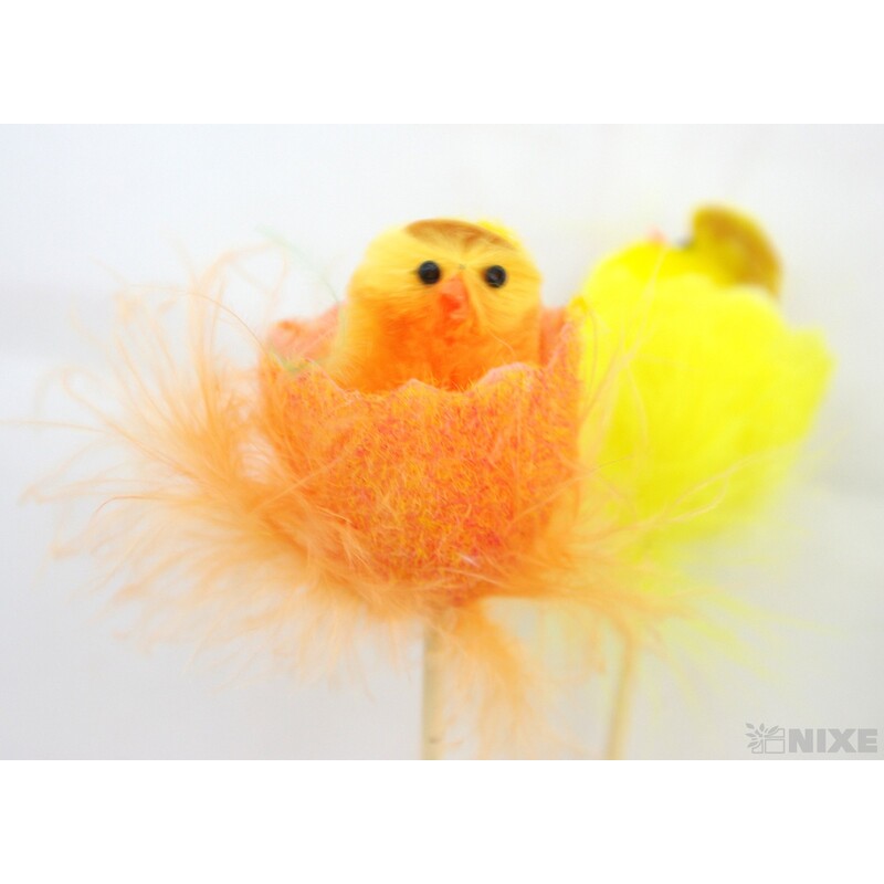 ZÁPICH KUŘÁTKA 5x19cm*MIX BAREV