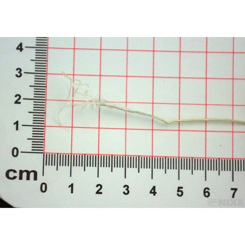 GYMPA SLABÁ CÍVKA 1mmx25m*ŽLUTÁ SV. 911737