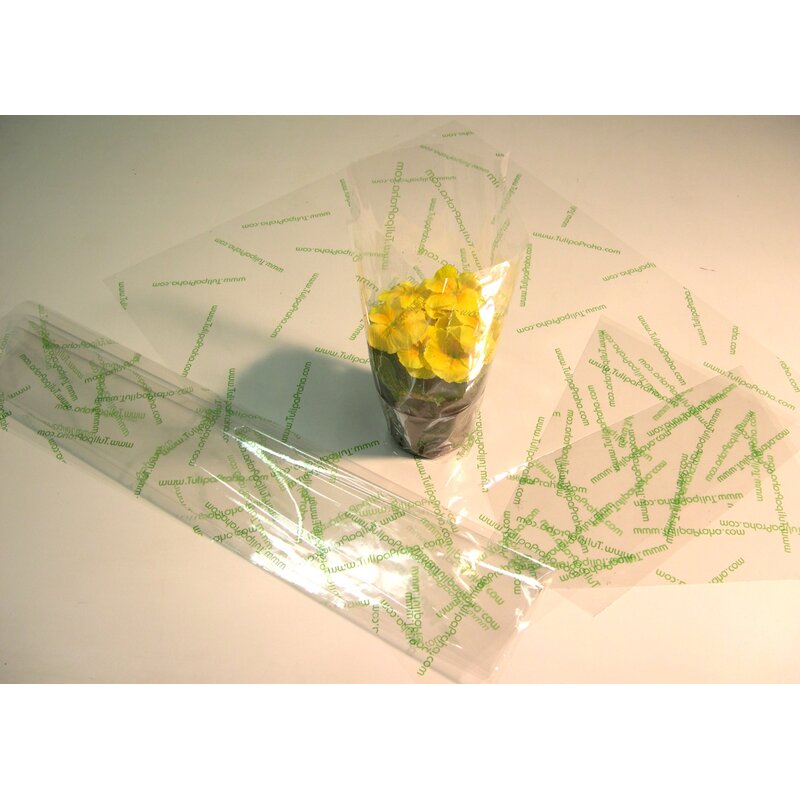 OBAL K 25x11x30cm TT Z+*PRŮHLEDNÁ