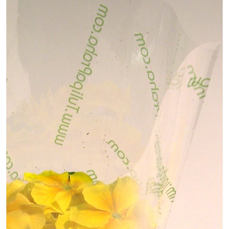 OBAL K 25x11x30cm TT Z+*PRŮHLEDNÁ