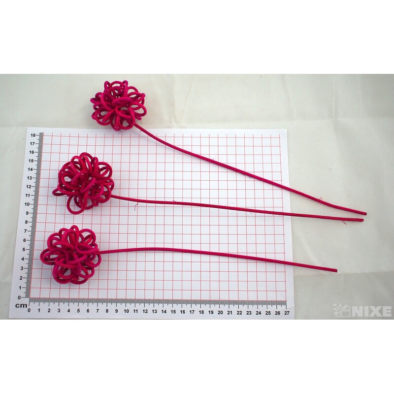 PEDIGOVÁ KOULE 30cm*FUXIE