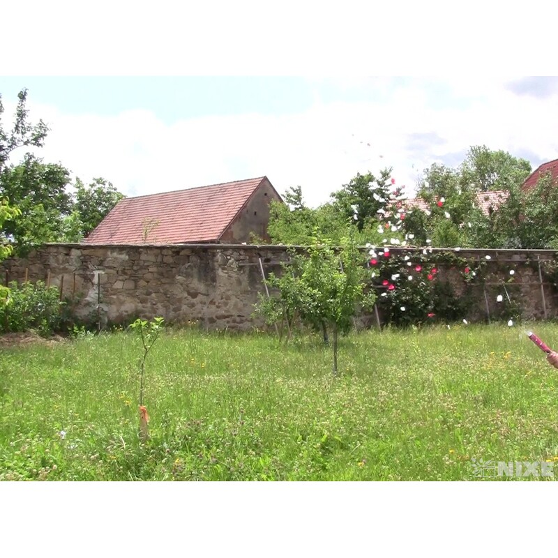 KONFETY VYSTŘELOVACÍ LÍSTEK 40cm*BÍLÁ+ČERVENÁ