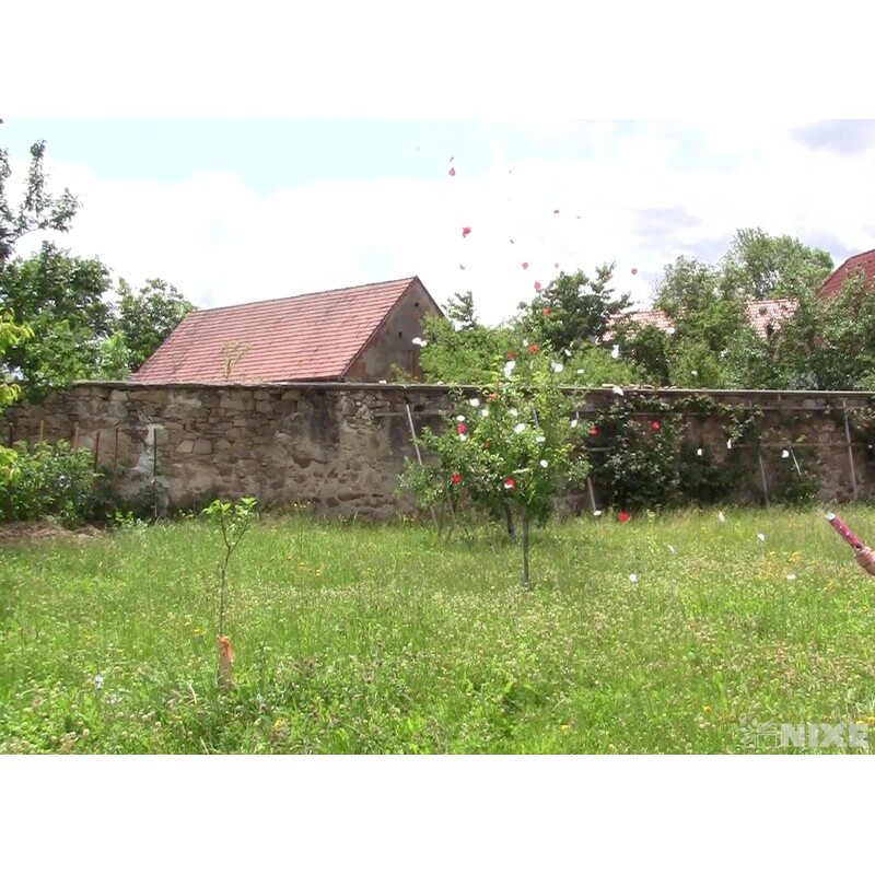 KONFETY VYSTŘELOVACÍ LÍSTEK 40cm*BÍLÁ+ČERVENÁ