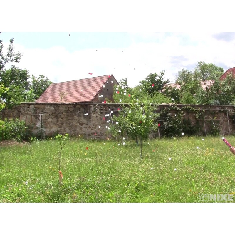 KONFETY VYSTŘELOVACÍ LÍSTEK 40cm*BÍLÁ+ČERVENÁ