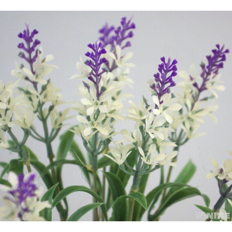 KYTKA LEVANDULE 32cm 5ks*MIX BAREV