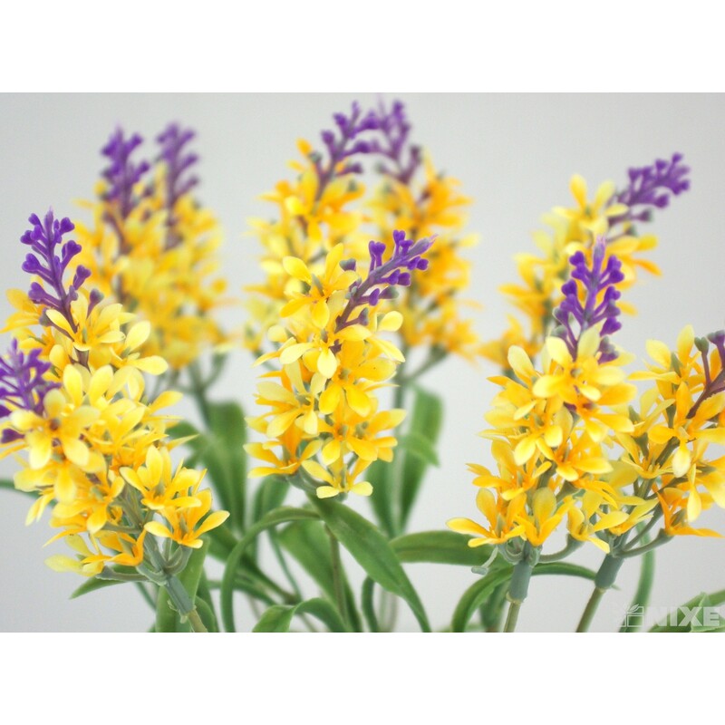 KYTKA LEVANDULE 32cm 5ks*MIX BAREV