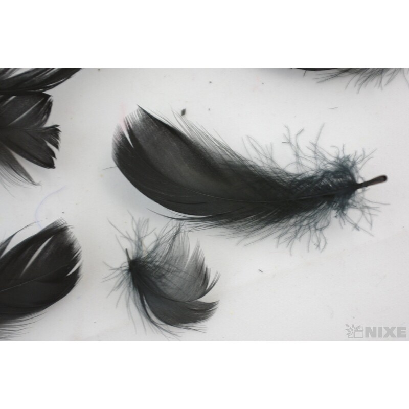 PEŘÍČKA BOX 15gr. cca 250ks*ČERNÁ C33