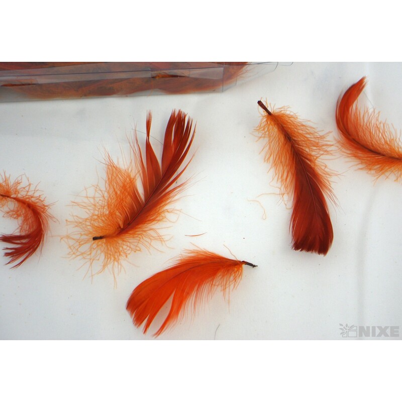 PEŘÍČKA BOX 15gr. cca 250ks*HNĚDÁ SV. C322