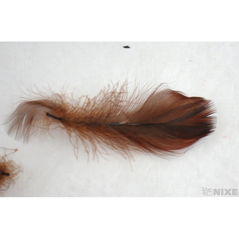 PEŘÍČKA BOX 15gr. cca 250ks*HNĚDÁ TM. C33