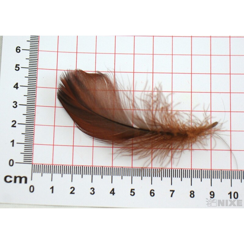 PEŘÍČKA BOX 15gr. cca 250ks*HNĚDÁ TM. C33