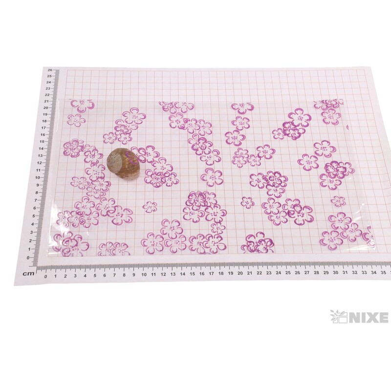 20x35cm JABLOŇ KVĚT T SÁČEK 50ks*FIALOVÁ