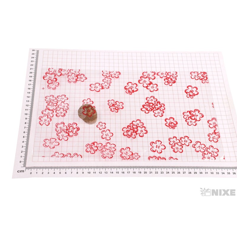 20x35cm JABLOŇ KVĚT T SÁČEK 50ks*ČERVENÁ