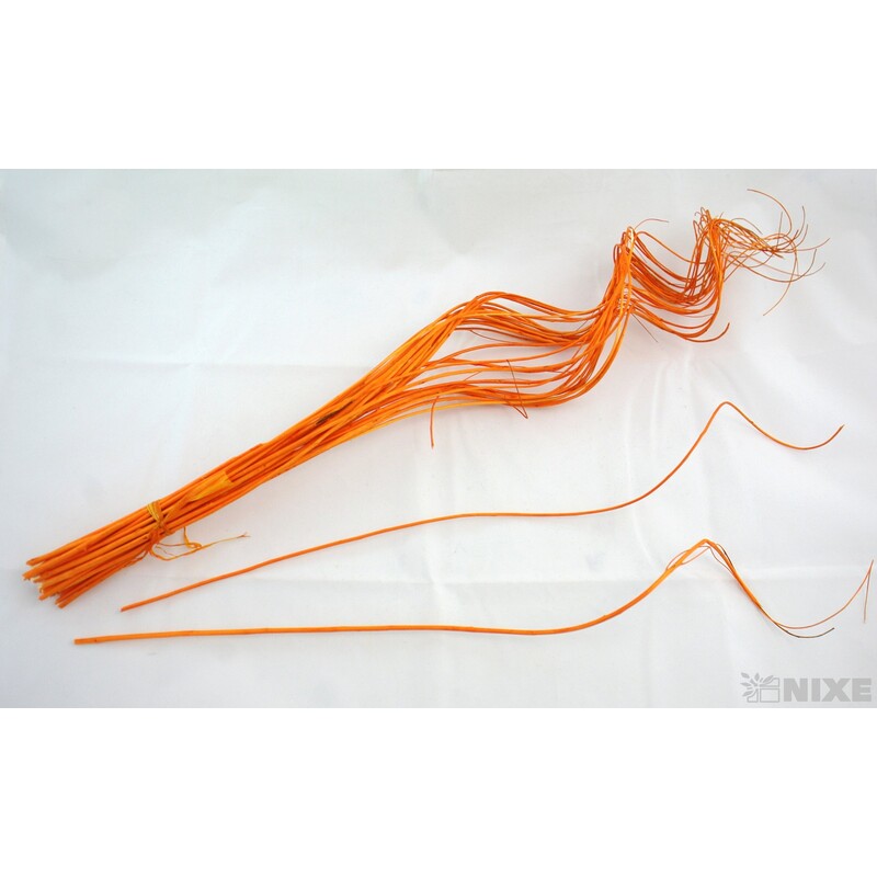 CURLY WILLOW HALF 60cm*ORANŽOVÁ