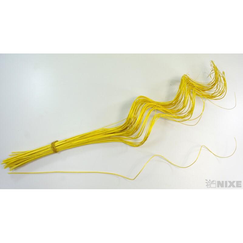 CURLY WILLOW HALF 60cm*ŽLUTÁ