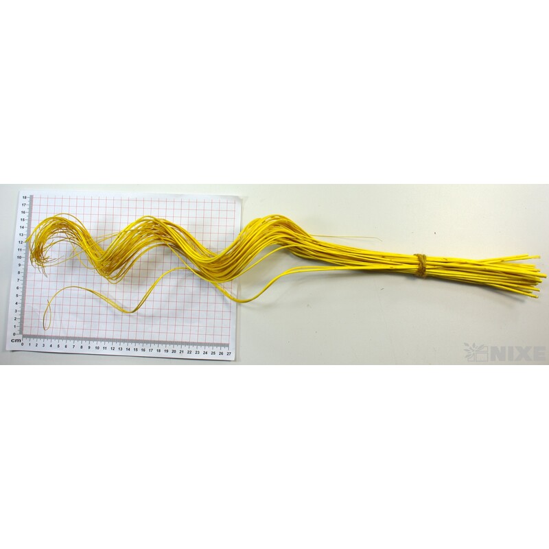 CURLY WILLOW HALF 60cm*ŽLUTÁ