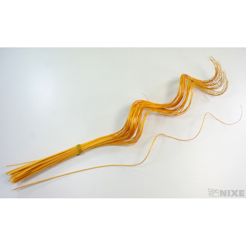 CURLY WILLOW HALF 60cm*ORANŽOVÁ TM.