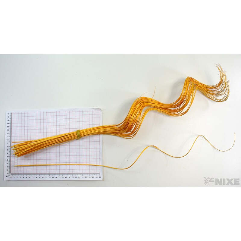 CURLY WILLOW HALF 60cm*ORANŽOVÁ TM.