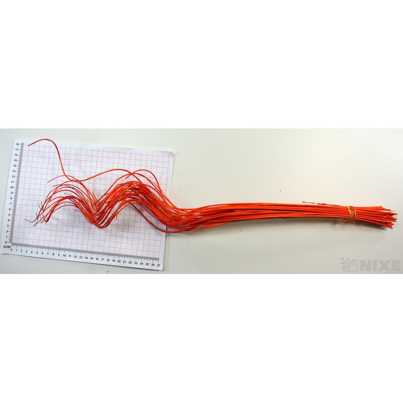 CURLY WILLOW HALF 60cm*ORANŽOVÁ TM.