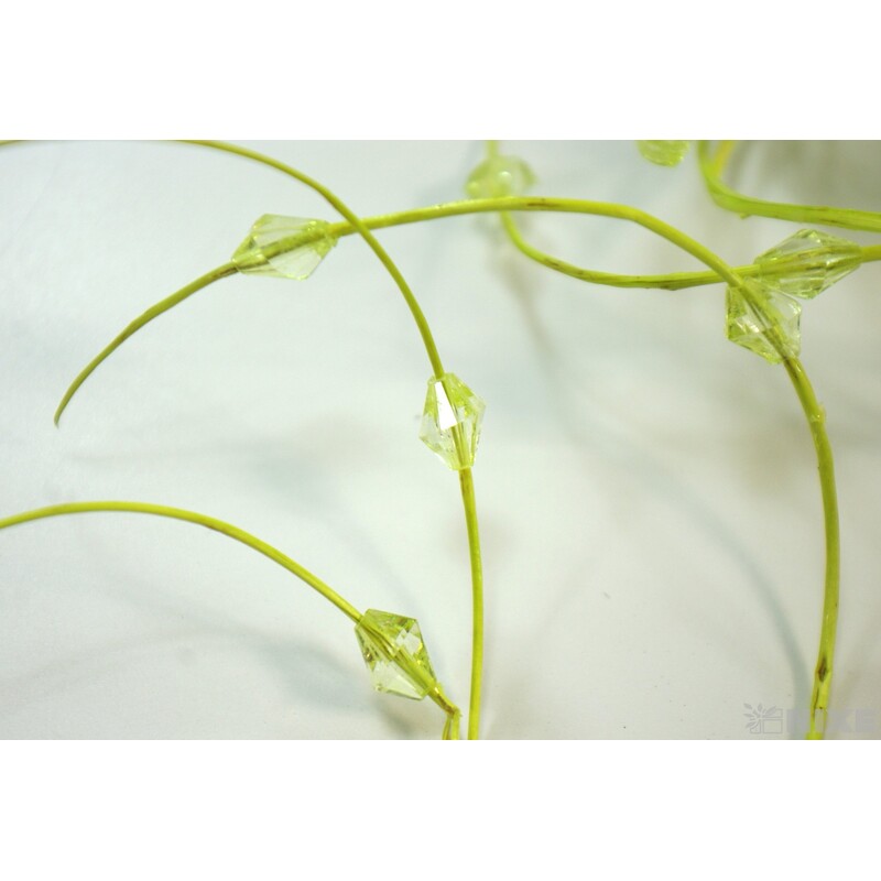 CURLY WIL. KORÁLKY 60cm*ZELENÁ SV