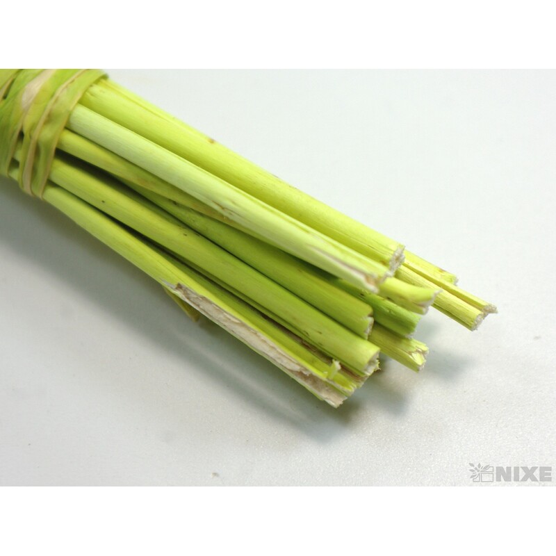 CURLY WIL. KORÁLKY 60cm*ZELENÁ SV