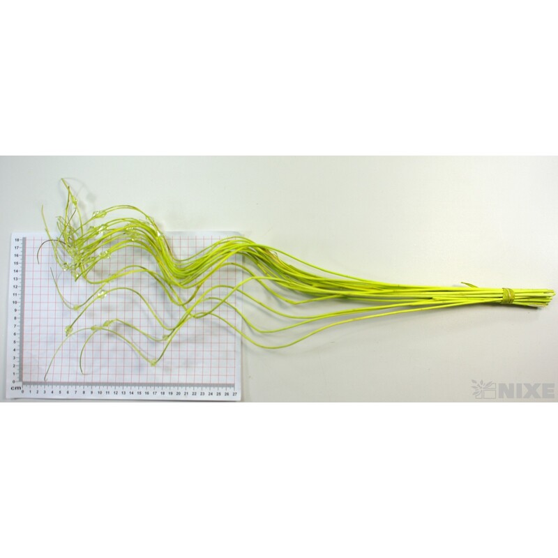 CURLY WIL. KORÁLKY 60cm*ZELENÁ SV