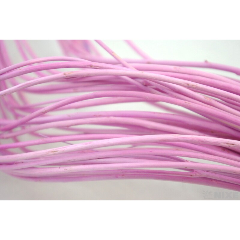 CURLY WILLOW HALF 80cm*RŮŽOVÁ SV.