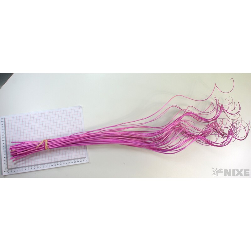 CURLY WILLOW HALF 80cm*RŮŽOVÁ SV.