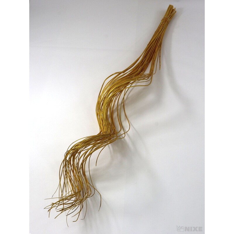 CURLY WILLOW HALF 80cm*ŽLUTÁ TM.