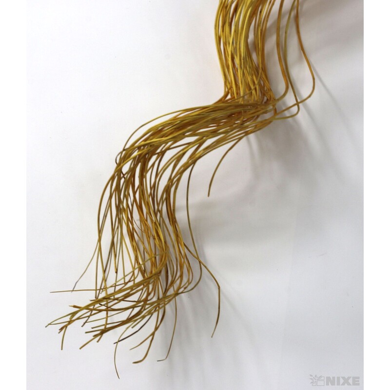 CURLY WILLOW HALF 80cm*ŽLUTÁ TM.