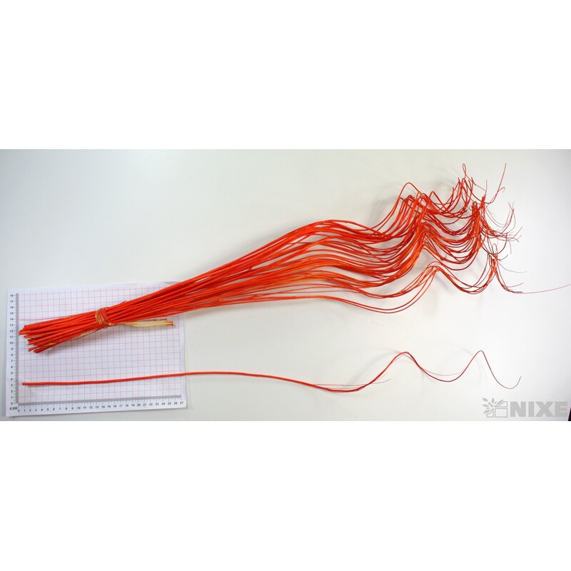 CURLY WILLOW HALF 80cm*ORANŽOVÁ TM.