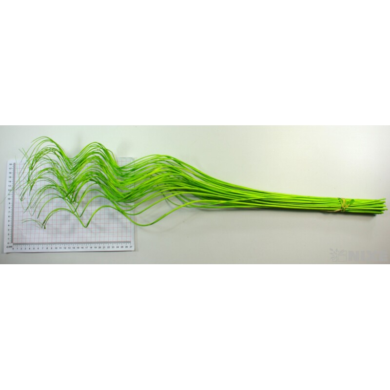 CURLY WILLOW HALF 80cm*ZELENÁ
