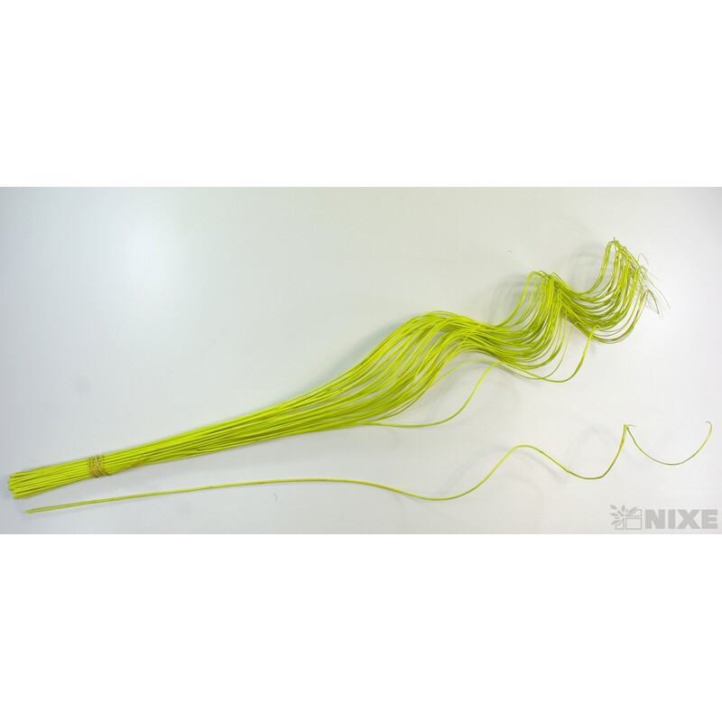 CURLY WILLOW HALF 80cm*ZELENÁ SV.