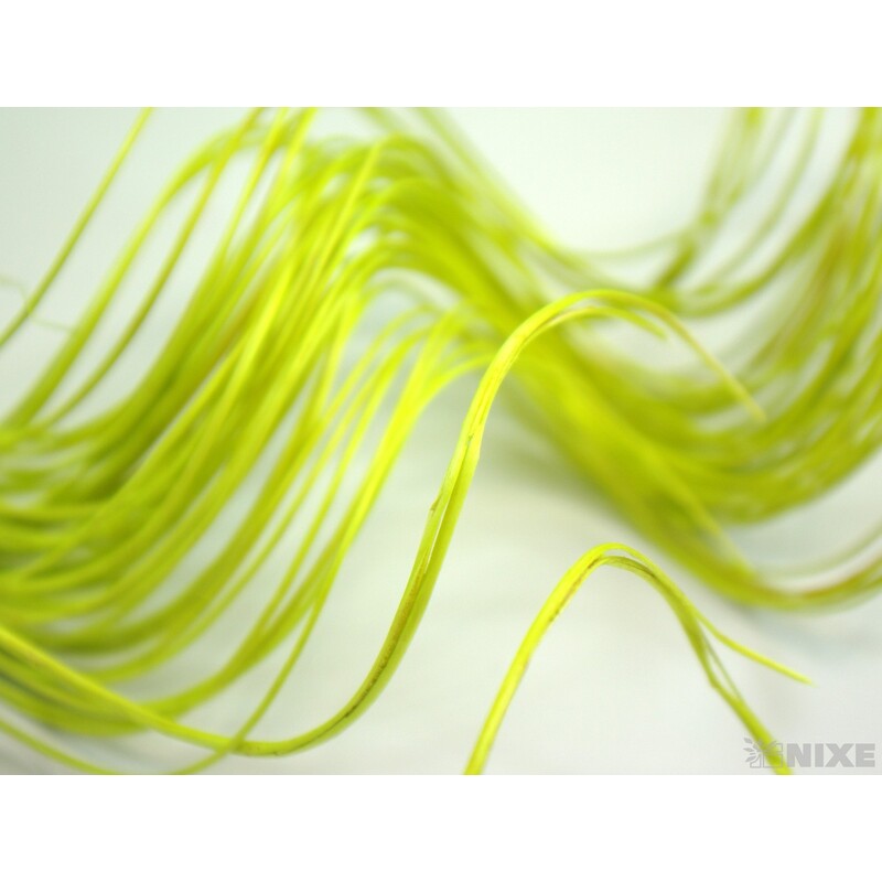 CURLY WILLOW HALF 80cm*ZELENÁ SV.