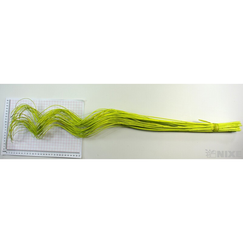 CURLY WILLOW HALF 80cm*ZELENÁ SV.
