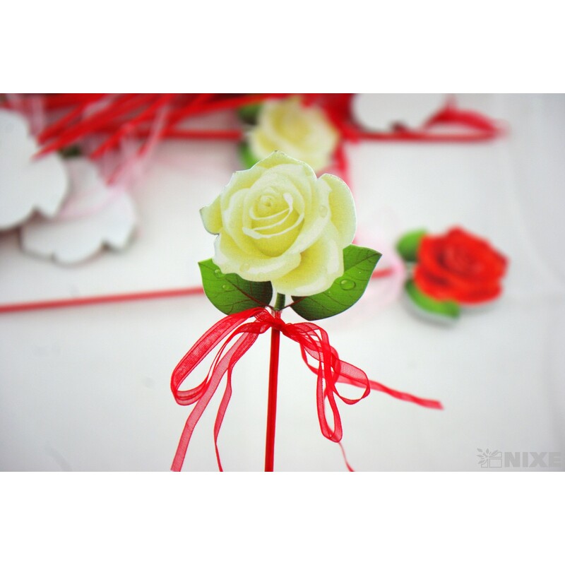 ZÁPICH RŮŽE 24ks 6x28cm*MIX BAREV