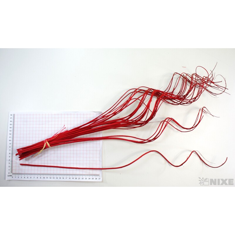 CURLY WILLOW HALF 60cm*ČERVENÁ