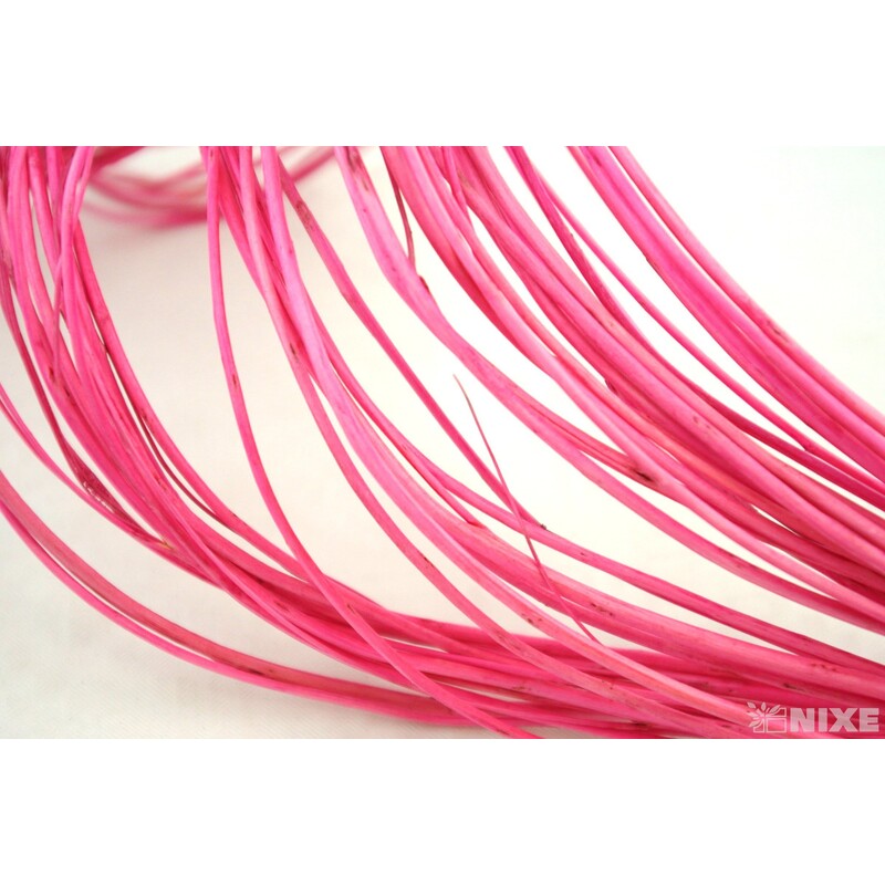 CURLY WILLOW HALF 60cm*RŮŽOVÁ