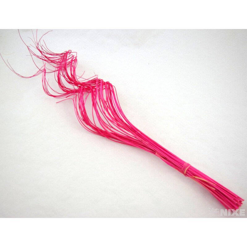 CURLY WILLOW HALF 60cm*RŮŽOVÁ