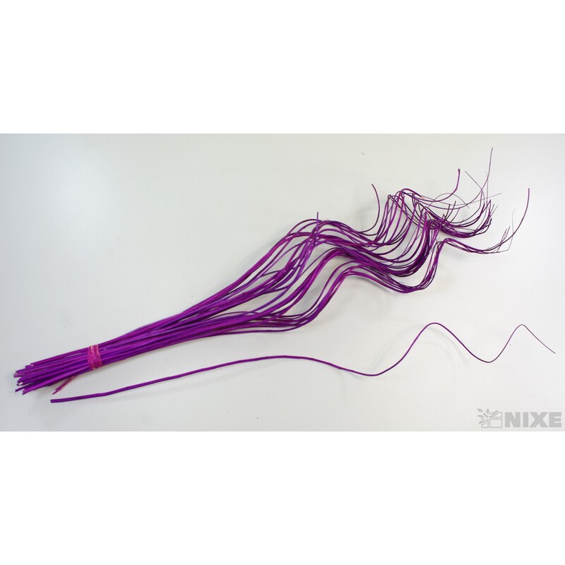 CURLY WILLOW HALF 60cm*FIALOVÁ